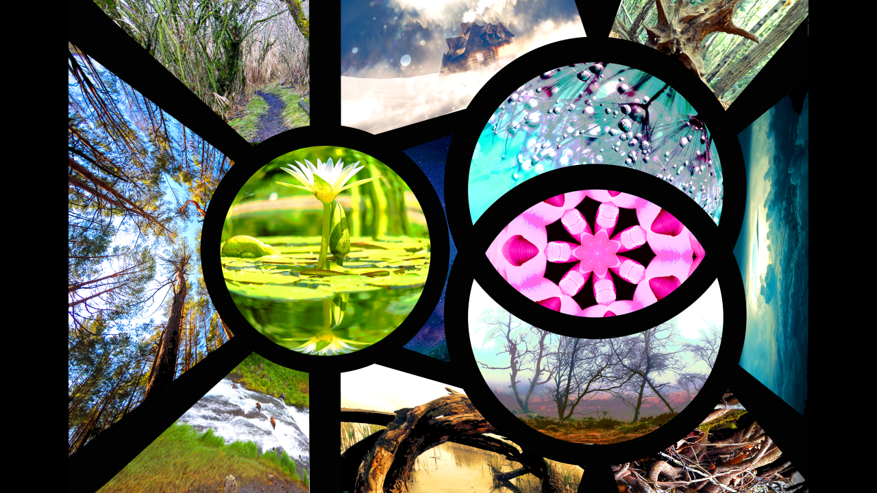 Panels of Existence II